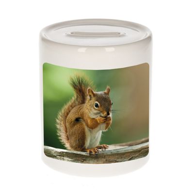 Dieren foto spaarpot eekhoorn 9 cm - eekhoorns spaarpotten jongens en meisjes