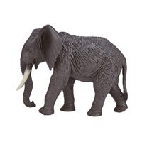 Mojo wildlife afrikaanse olifant 387189