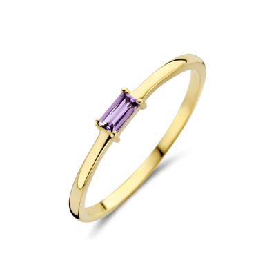14k Geelgouden Ring met Amethist - Geboortesteen Juni 2,5mm
