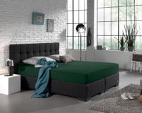 Dreamhouse Dubbel Jersey 220 gr. Hoeslaken Botanisch Groen 140 x 200/220