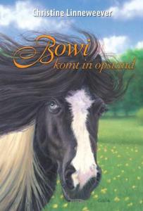 Bowi (Hardback)