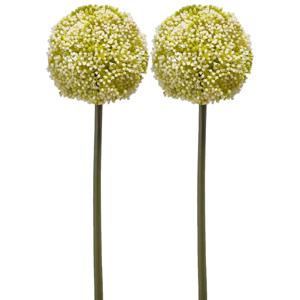 Emerald Allium/Sierui kunstbloem - 2x - losse steel - wit/groen - 75 cm - Natuurlijke uitstraling - Kunstbloemen