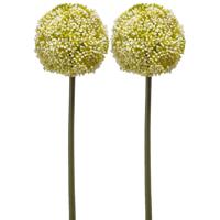 Emerald Allium/Sierui kunstbloem - 2x - losse steel - wit/groen - 75 cm - Natuurlijke uitstraling - Kunstbloemen - thumbnail