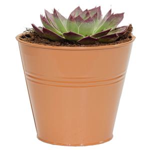 Plantenpot/bloempot Bob - rond - zink - terra - D15 X H13 cm