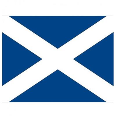 Vlag Schotland stickers - 7.5 x 10 cm - landen decoratie