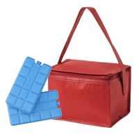 Strand sixpack mini koeltasje rood inclusief 2 koelelementen - Koeltas - thumbnail