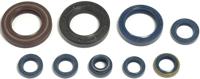 ATHENA motor-keerring set motorshield who 125, 93-96,