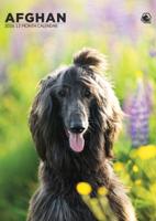 Afghaanse Windhond A3 Kalender 2026