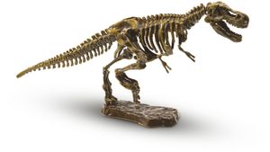 SES Creative Explore T-rex skelet opgraven
