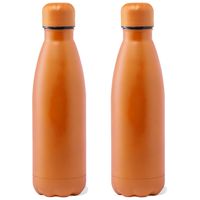 RVS waterfles/drinkfles - 2x - oranje kleur met schroefdop 790 ml