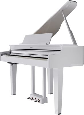 Roland GP-6 PW digitale vleugel