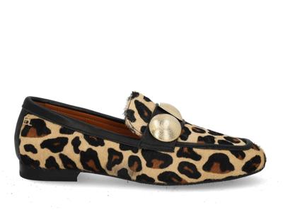 Babouche G-Lulu-59 leopardo black multi bruin maat 39.5
