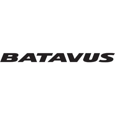 Batavus type II fietssticker 30 cm