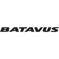 Batavus type II fietssticker 30 cm - thumbnail