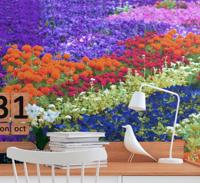 Kleurrijk veld fotobehang bloemen