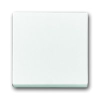Busch-Jaeger bedieningswip 1786-84 studiowit