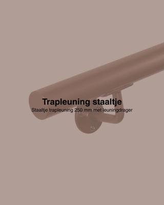 Staaltje trapleuning rond 42,2mm brons