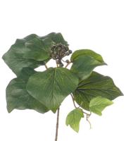 Hedera franse steek x10lvs 25 cm kunstbloem zijde nepbloem Driesprong Collection - Driesprong collection