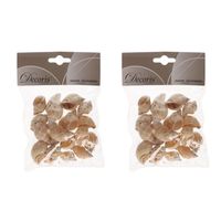 2x zakjes decoratie schelpen zeeslak/strombus canarium 4 cm