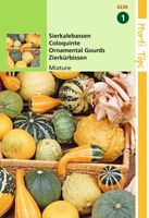 Cucurbita Pepo, Sierkalebas Kleinvr. Gem. - Hortitops