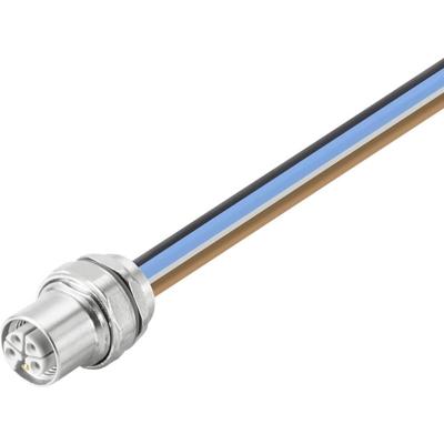 Weidmüller 2625970000 Sensor/actuator inbouwconnector M12 Aantal polen (sensoren): 5 Bus, recht 0.30 m 1 stuk(s)