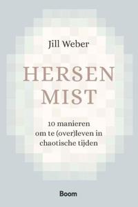 Hersenmist (Paperback)