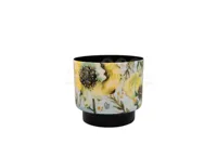 Bloempot Lammie Camelia Blauw Ø15cm Bloempot Lammie Camelia Blauw Ø15cm