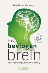 Het bevlogen brein (Paperback)