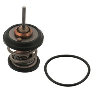 Thermostaat 34782