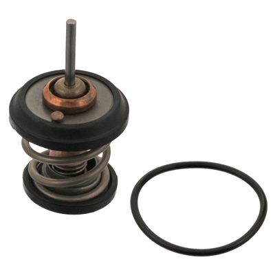 Thermostaat 34782