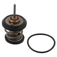 Thermostaat 34782