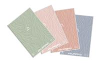 Schrift aurora a4 lijn 120pag 80gr assorti | 10 stuks