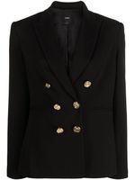 PINKO blazer à boutonnière croisée - Noir