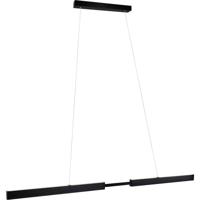 Paulmann Aptare 76989 LED-hanglamp LED 33 W Zwart