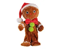 Kerstpop Gingerbread met Muziek en Beweging