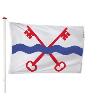 Vlag Leiderdorp