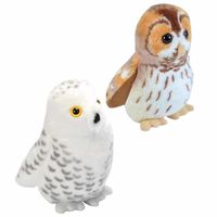 Set van 2x stuks pluche vogels knuffels van 14 cm met geluid