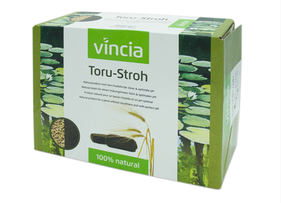 Vincia Toru-Stroh