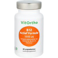B12 actief formule 5000 mcg 60 Zuigtabletten