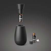Diffuser ella black 1 Stuks