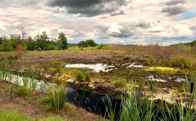 Tuinschilderij drenthe 130x70cm - Customize it