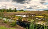 Tuinschilderij drenthe 130x70cm - Customize it