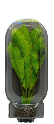 Superfish easy plant middel 20 cm nr. 12 - Superfish