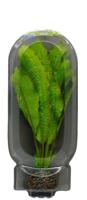 Superfish easy plant middel 20 cm nr. 12 - Superfish