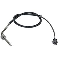 Uitlaatgastemperatuursensor 170484