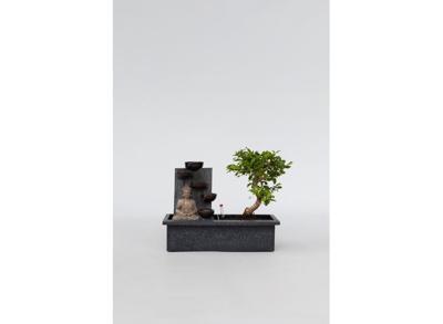 Bonsai met waterval 'Buddha'