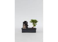 Bonsai met waterval 'Buddha'
