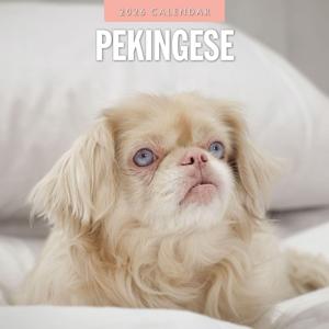Pekingees Kalender 2026