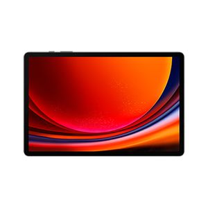 Samsung Galaxy Tab S9+ SM-X810N 256 GB 31,5 cm (12.4") Qualcomm Snapdragon 12 GB Wi-Fi 6 (802.11ax) Android 13 Grafiet