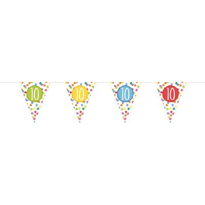 Verjaardag feestvlaggenlijn - 10 jaar - 6 meter - multi kleuren - leeftijd versiering